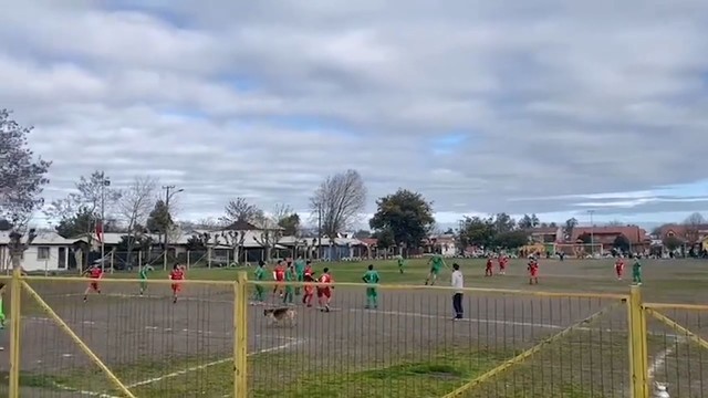 Собака забивает гол в любительском чемпионате в Чили