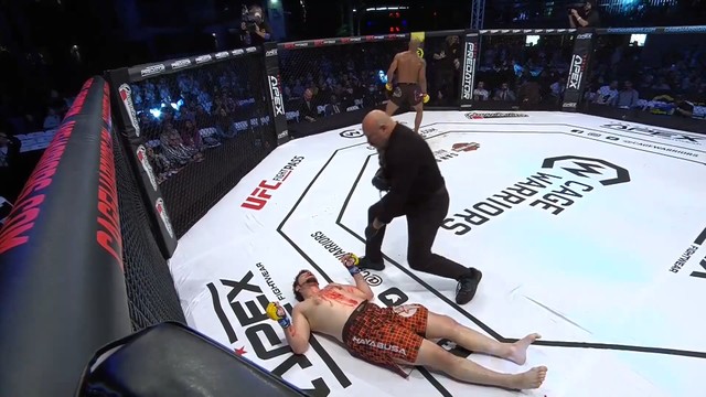 Трансляция UFC 264