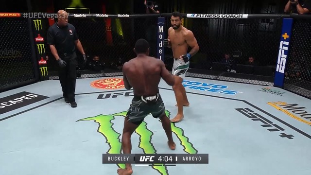 Бакли нокаутом победил Арройо на турнире UFC Vegas 37