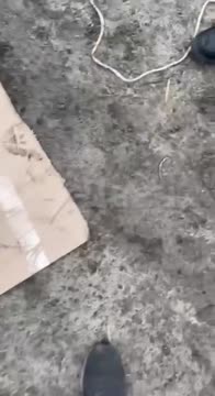 colonelcassad.livejournal.com